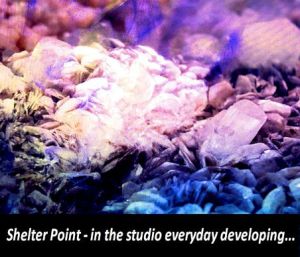 Shelter Point in the studio