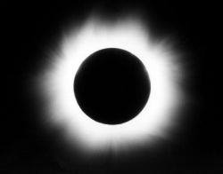 This One's for You - Single - The Black Sun's Darling