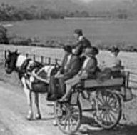 Here Comes the Summer