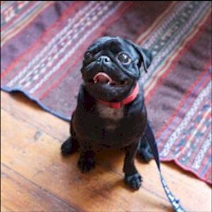 FLOWERS - bright colors and amazing crumpled textures ...