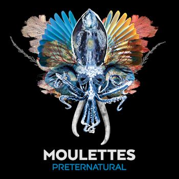 Preternatural (Bonus Track Version) - Moulettes
