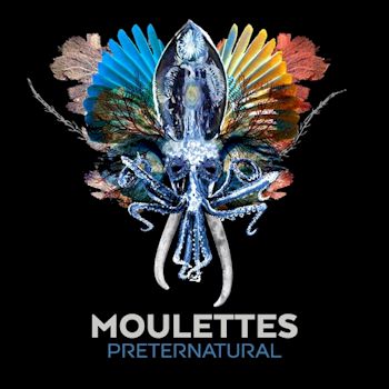 Preternatural (Bonus Track Version) - Moulettes