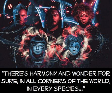 Preternatural (Bonus Track Version) - Moulettes