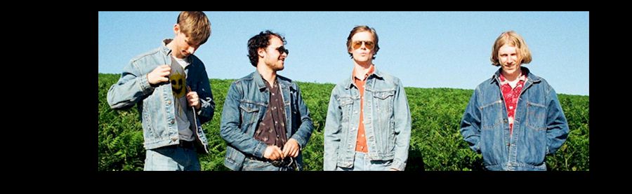 Buzzard Buzzard Buzzard