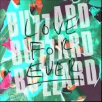 Buzzard Buzzard Buzzard