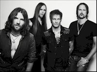 The New Roses Frank Dursthoff Fotographief