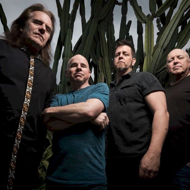 Pattern-Seeking Animals