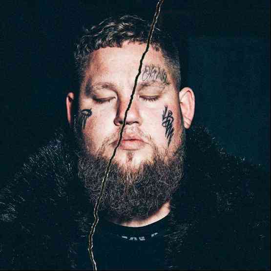 RagNBoneMan "heartsick"