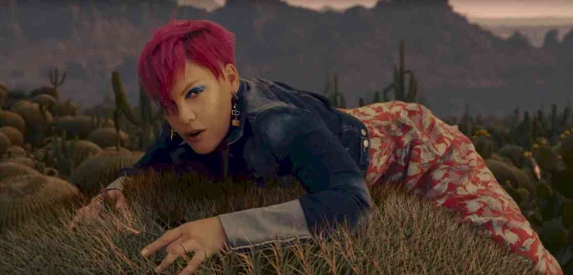P!NK photo credit: Vevo / P!NK